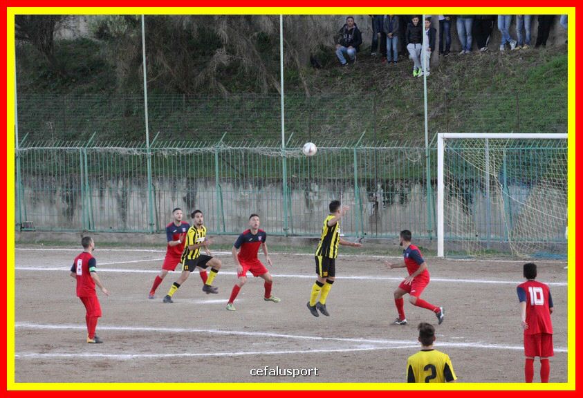 181111 Cepha_Milazzo 222_tn.JPG